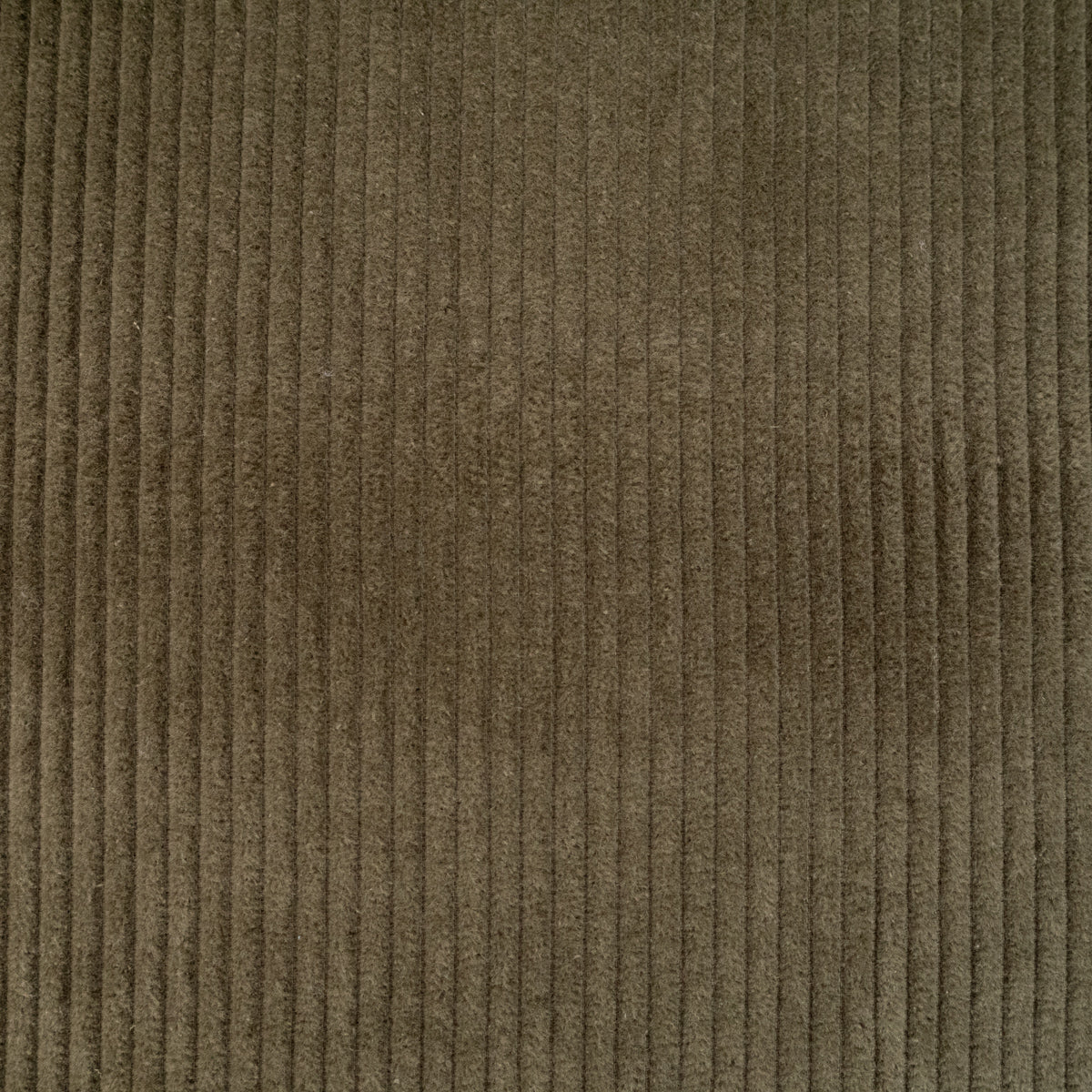 Coupon Tissu velours - Grosses côtes 4w - Army green - Image 6