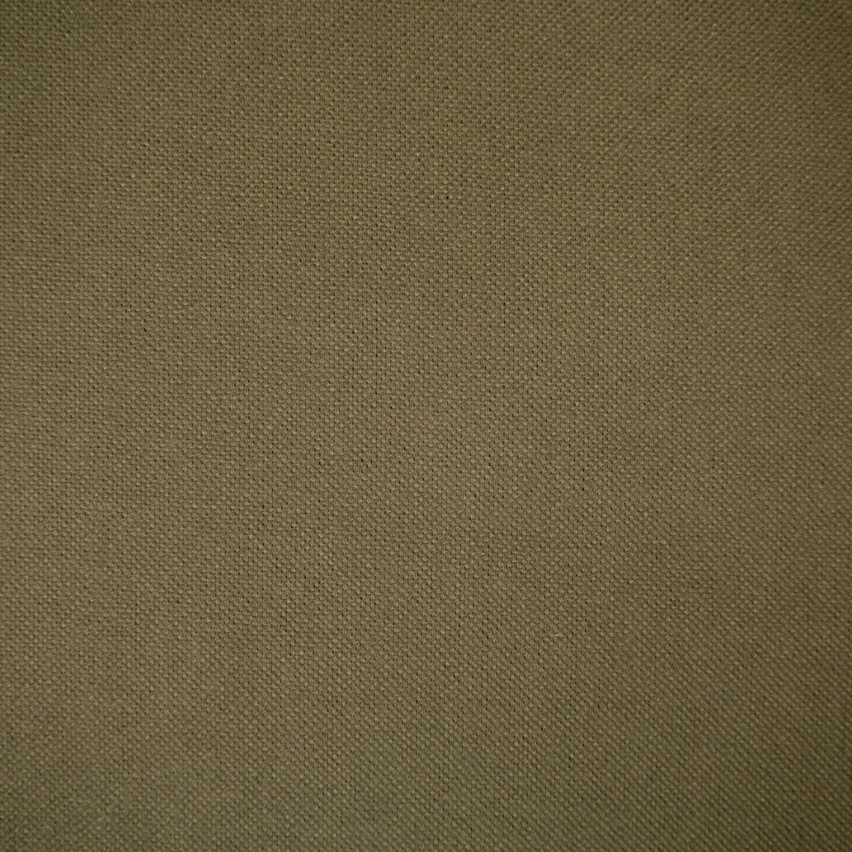 Tissu canvas Dawn - ©Mind the maker - Vert kaki - Image 3