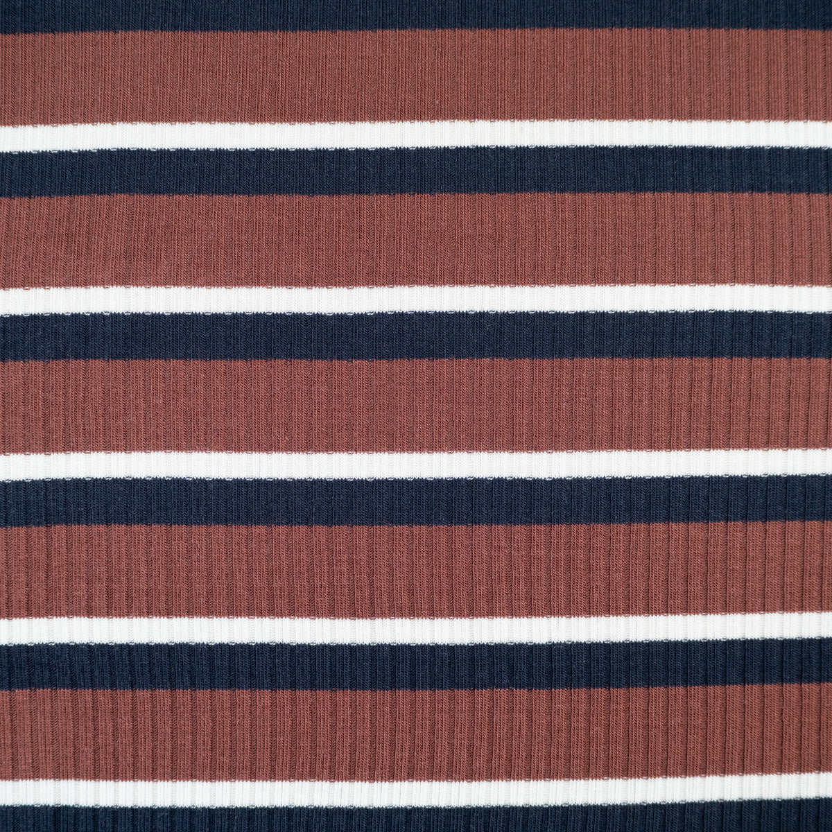 Tissu jersey côtelé de tencel- MeetMilk® - Derby - Marron - Image 3