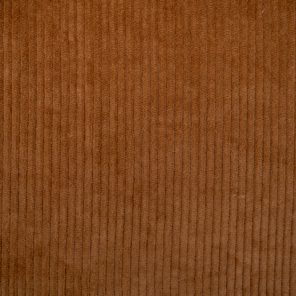 Tissu Velours - Moyennes côtes 6w - Brun - Image 2