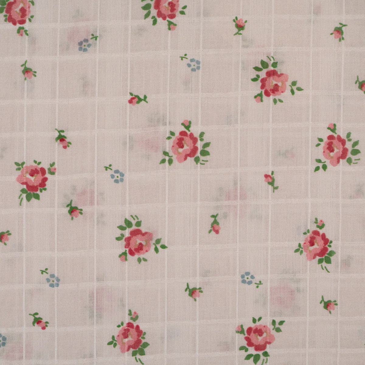 Tissu voile de coton armuré - Jane - Écru - Image 5